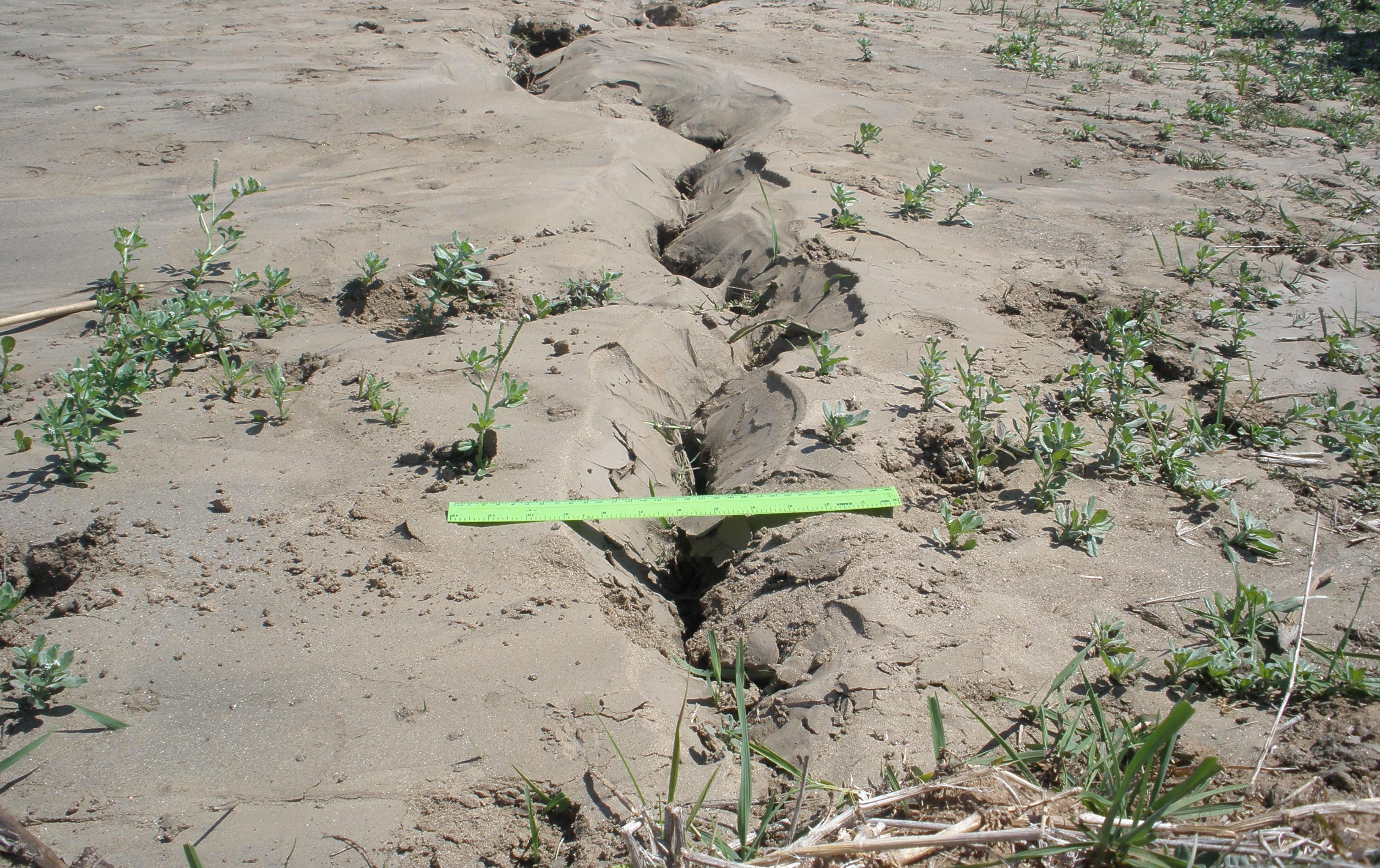 Karonga Earthquake Investigation