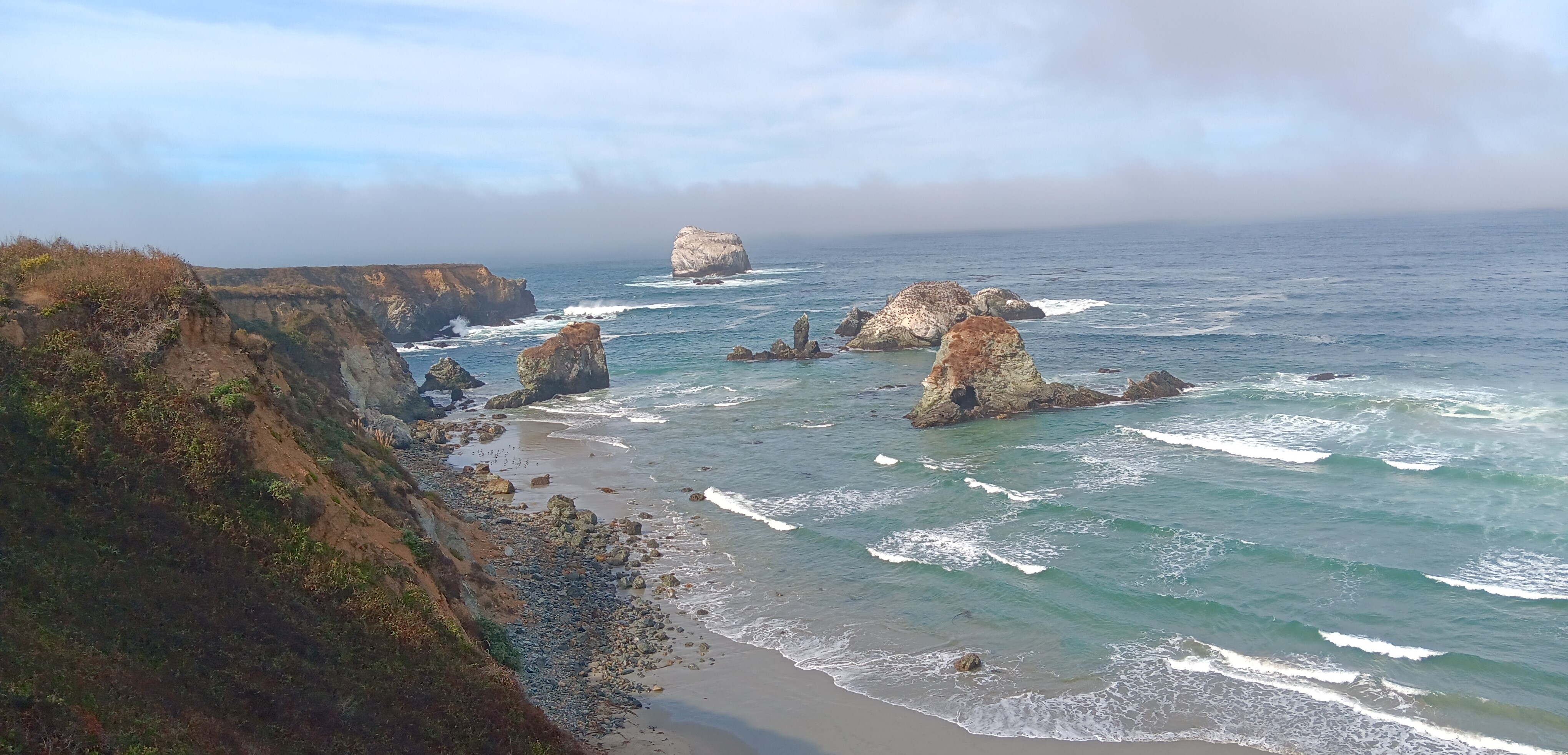 Sand Dollar Beach California