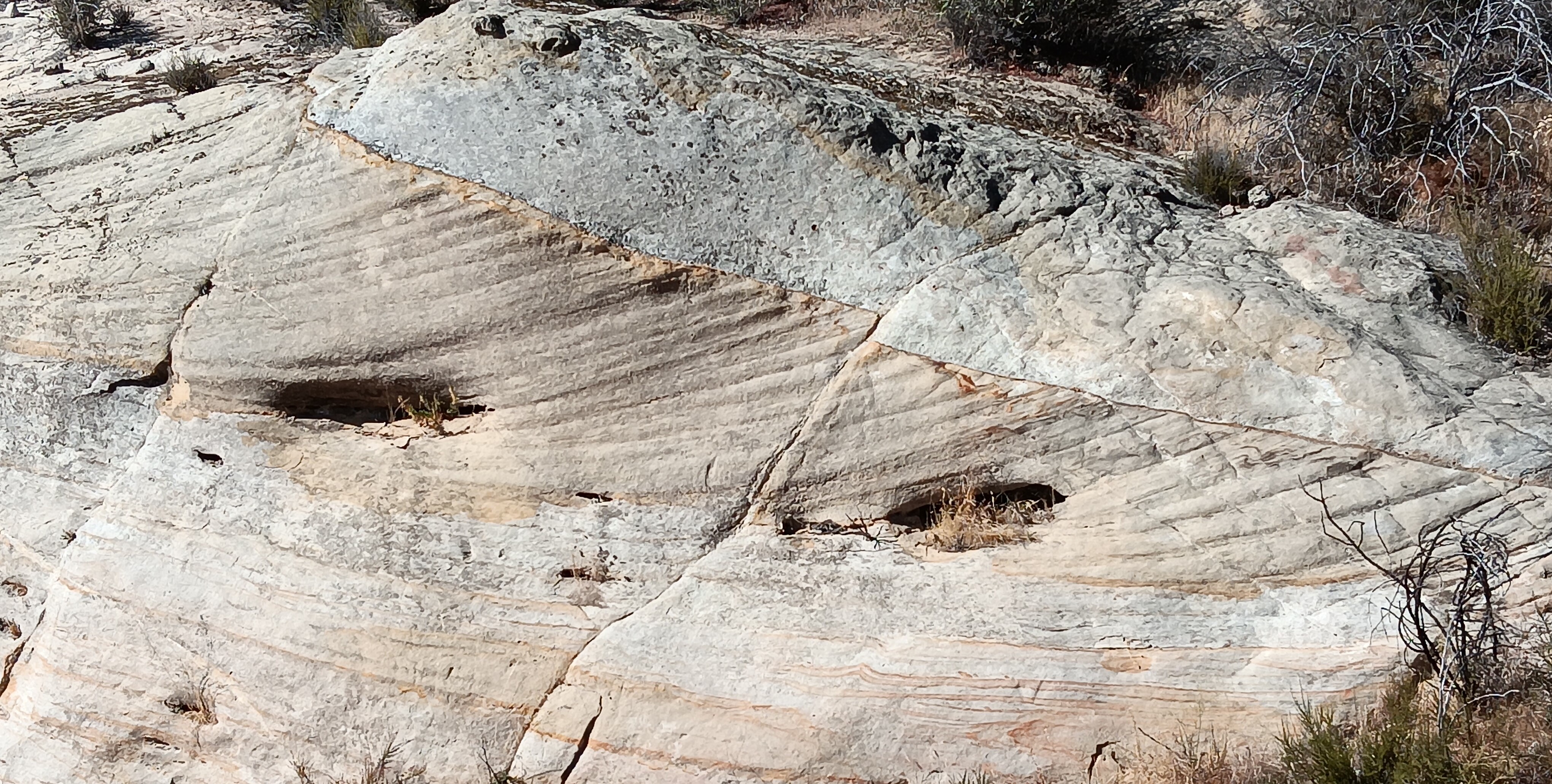 Upper Vaqueros Formation